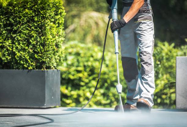 Best Building Exterior Washing  in Smithville Sanders, IN