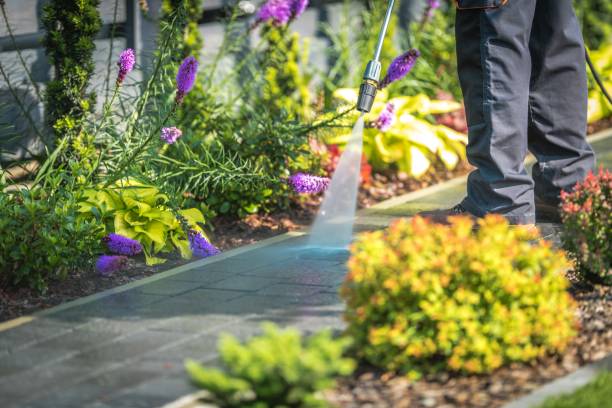 Best Patio and Deck Pressure Washing  in Smithville Sanders, IN