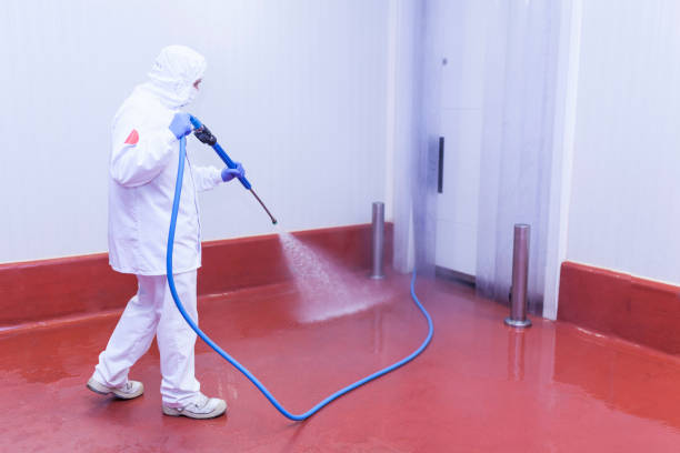 Best Post-Construction Pressure Washing  in Smithville Sanders, IN