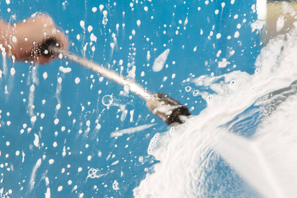 Best Roof Washing  in Smithville Sanders, IN